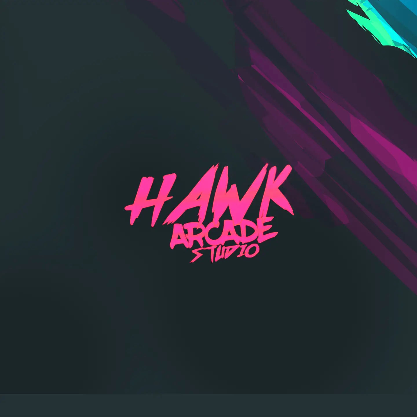 Hawk Arcade Studio